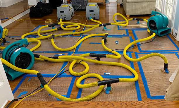 Professional Burst Pipe Water Damage technician working in Orono, ME